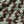 Moro Bicolour Geometric Jacquard Cotton Knit Shirt