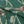 Green 5742 Palm Climber Original Aloha Cotton S/S Shirt