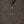 Brown Herringbone Soft Tweed Andre Sport Jacket