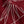 Red Veloso Palm Embroidery Linen S/S Shirt
